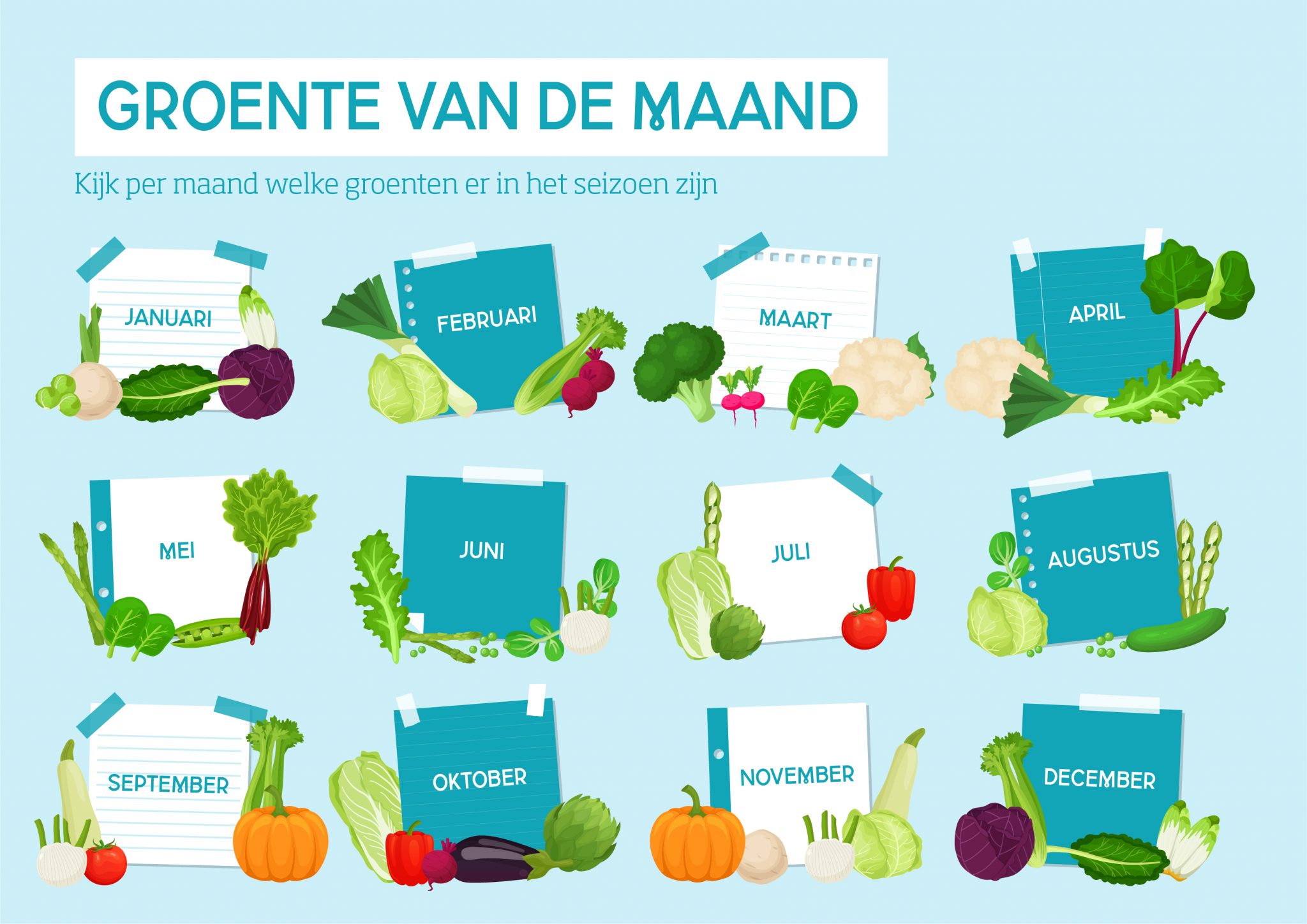 Groente van de maand januari: rode bieten | Natuur & Milieu