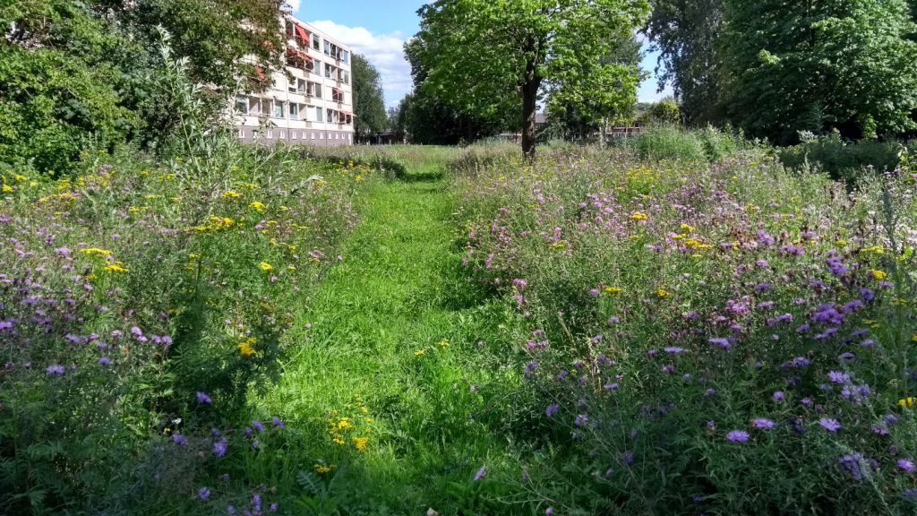 Bijenbloemen