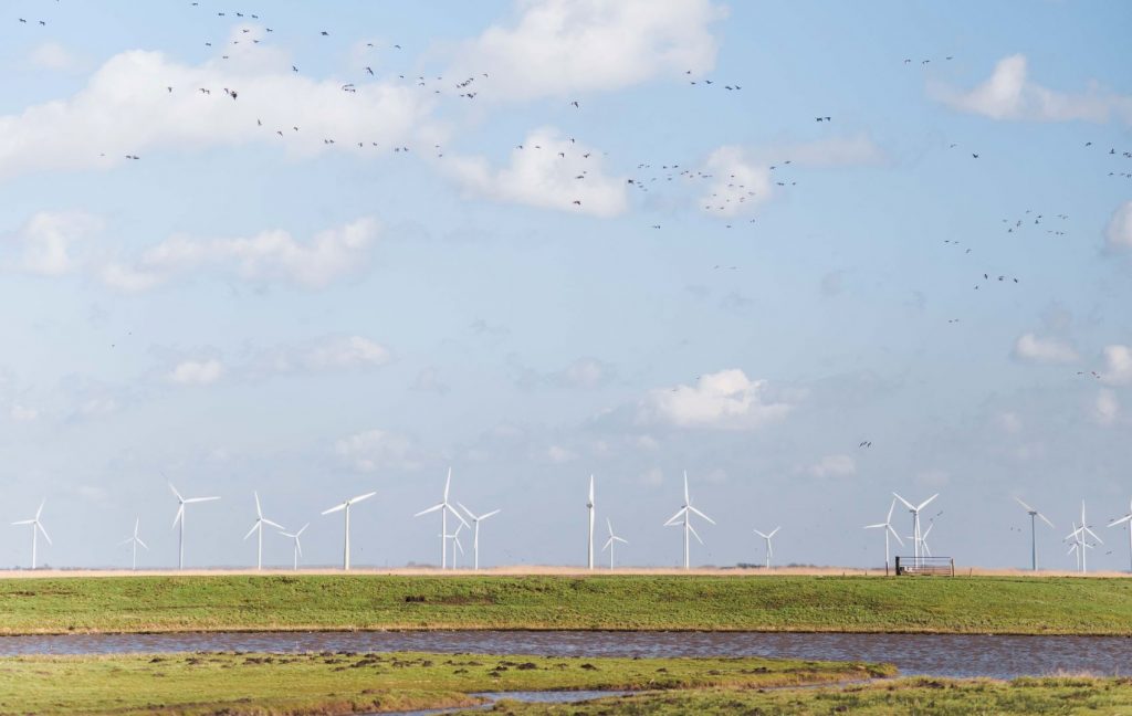 Windmolens op een zonnige dag in Nederland