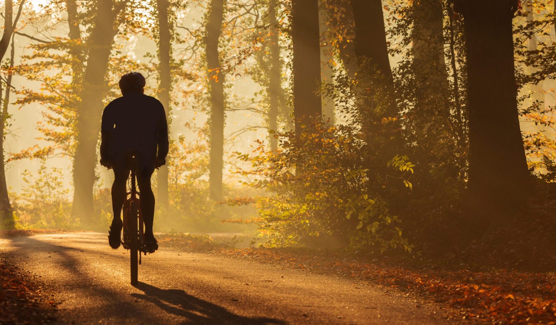 10 prachtige fietsroutes door Nederland Natuur & Milieu 10 prachtige fietsroutes door Nederland Natuur & Milieu