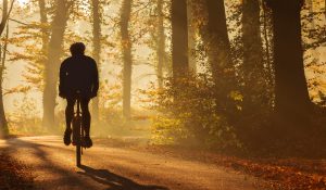 Silhouette van mountainbiker in een bos