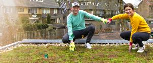 Twee personen zitten op een groen dak en geven elkaar een box