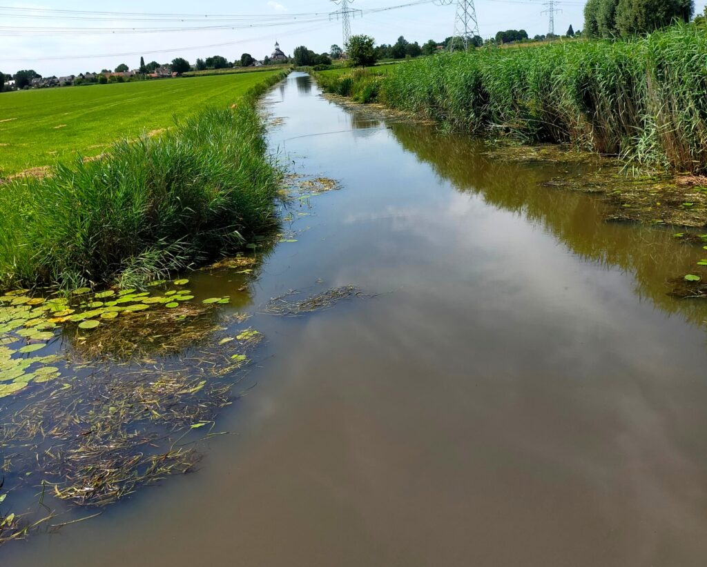 sloot met troebel water