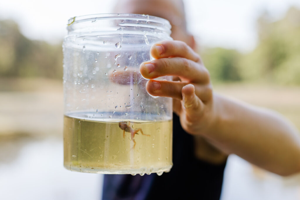 Waterkwaliteit meten