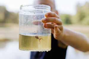 Waterkwaliteit meten