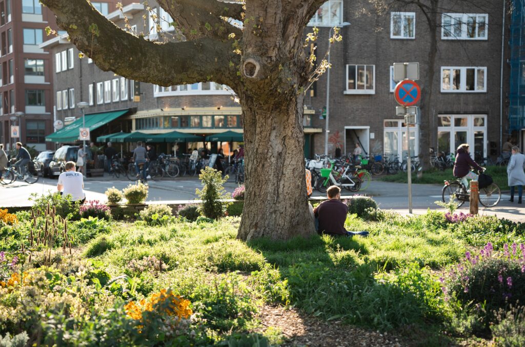 Stedelijke omgeving met een boom en groen en mensen