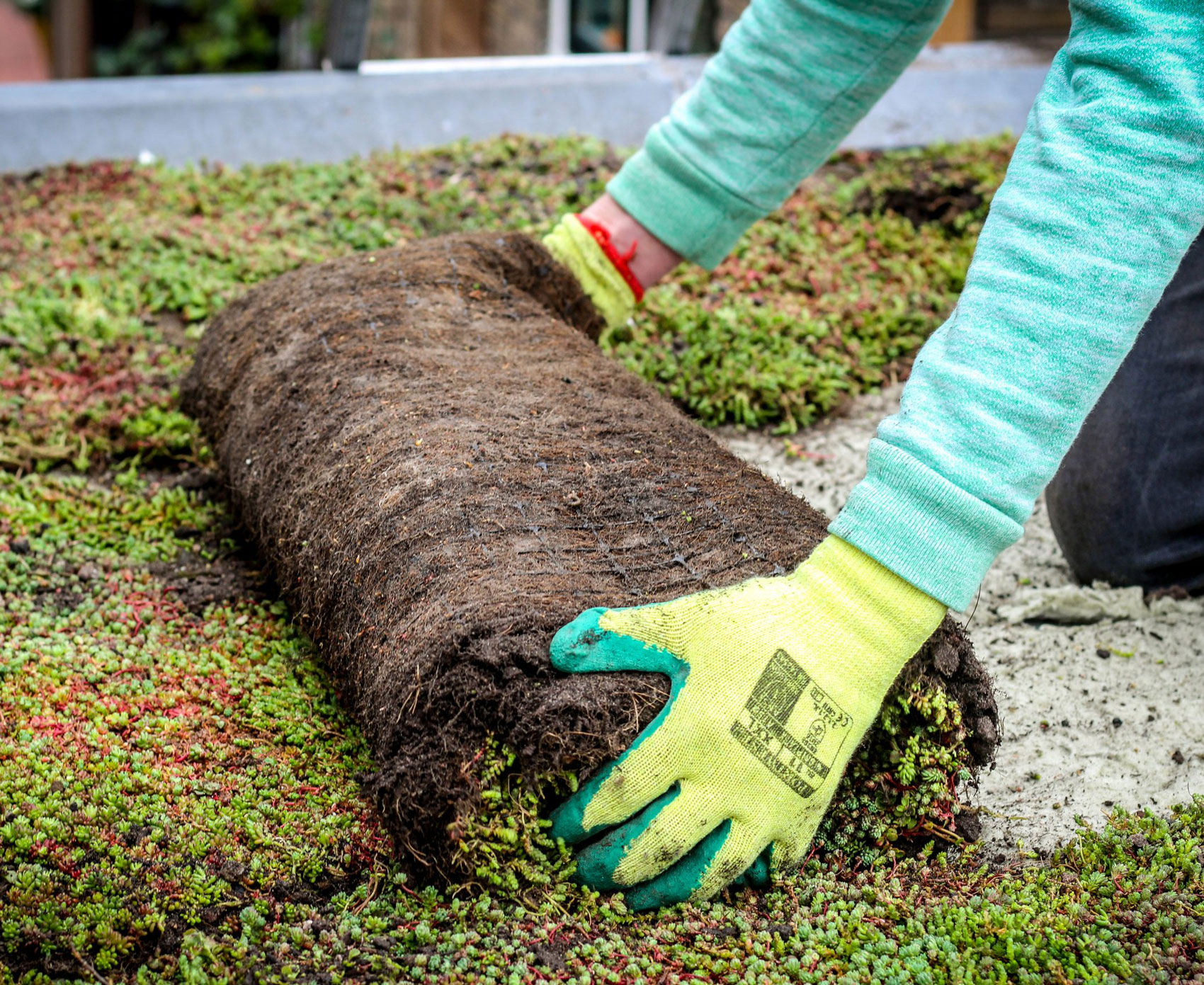 Leg een groen dak aan Natuur & Milieu