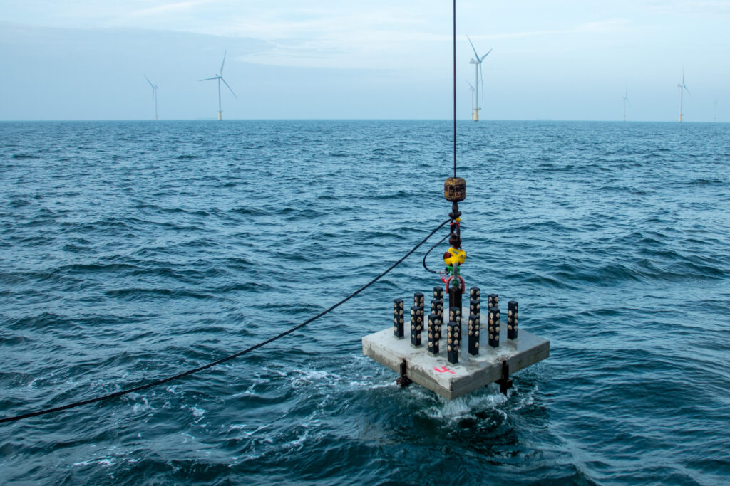 Foto van oestertafel De Rijke Noordzee