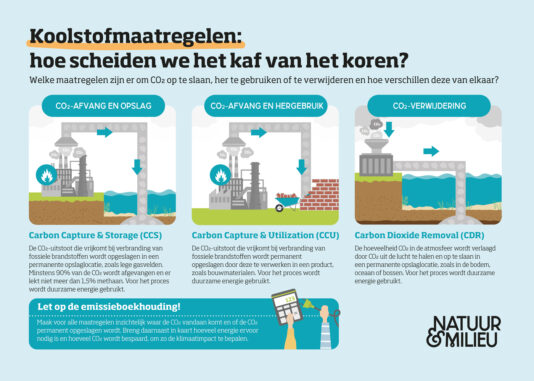 Koolstofmaatregelen: hoe scheiden we het kaf van het koren? | Natuur