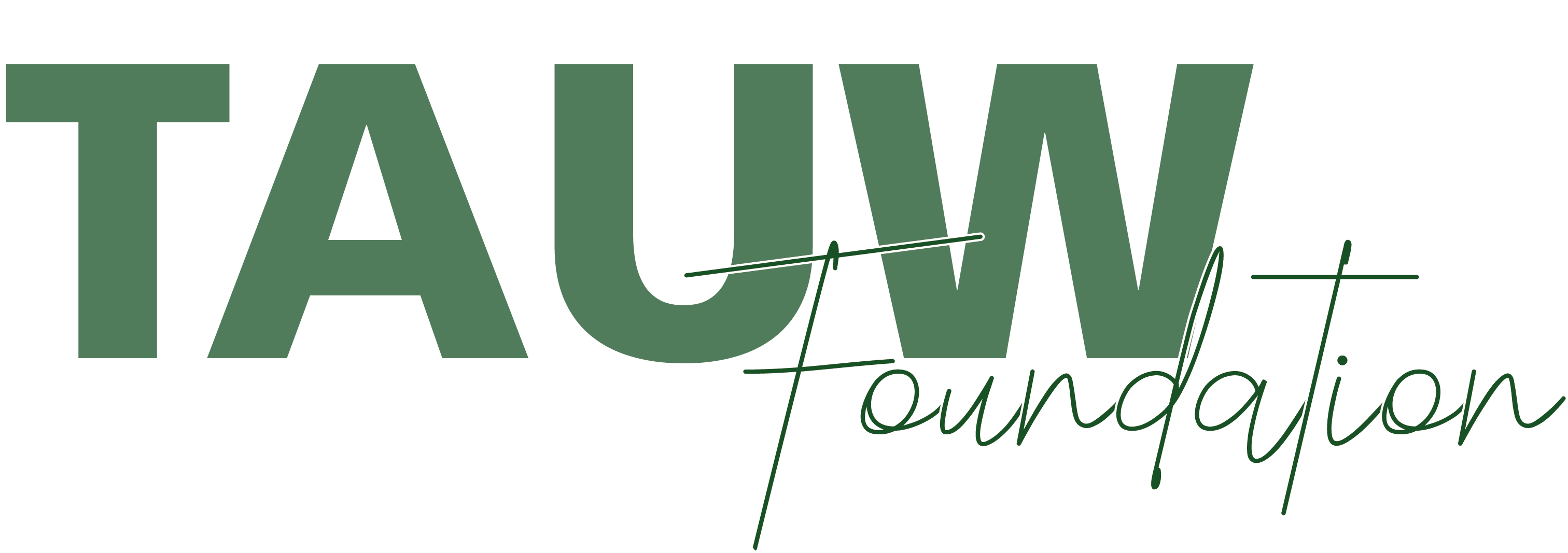 logo TAUW Foundation