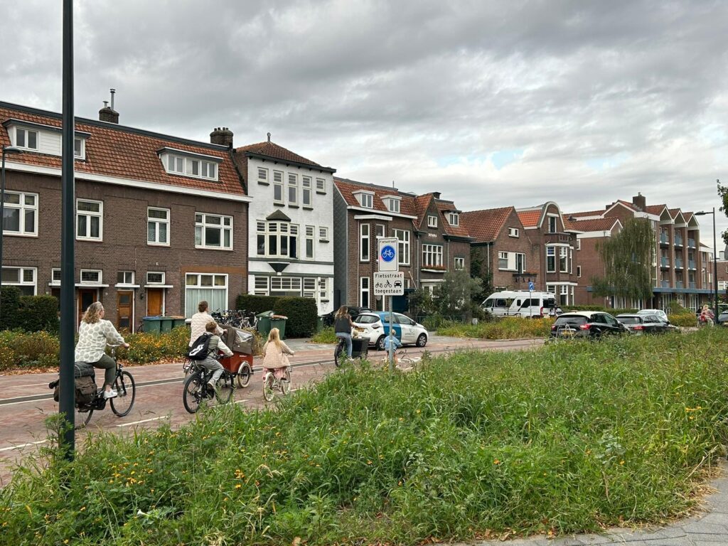 Straat in een woonwijk met groen en fietsers