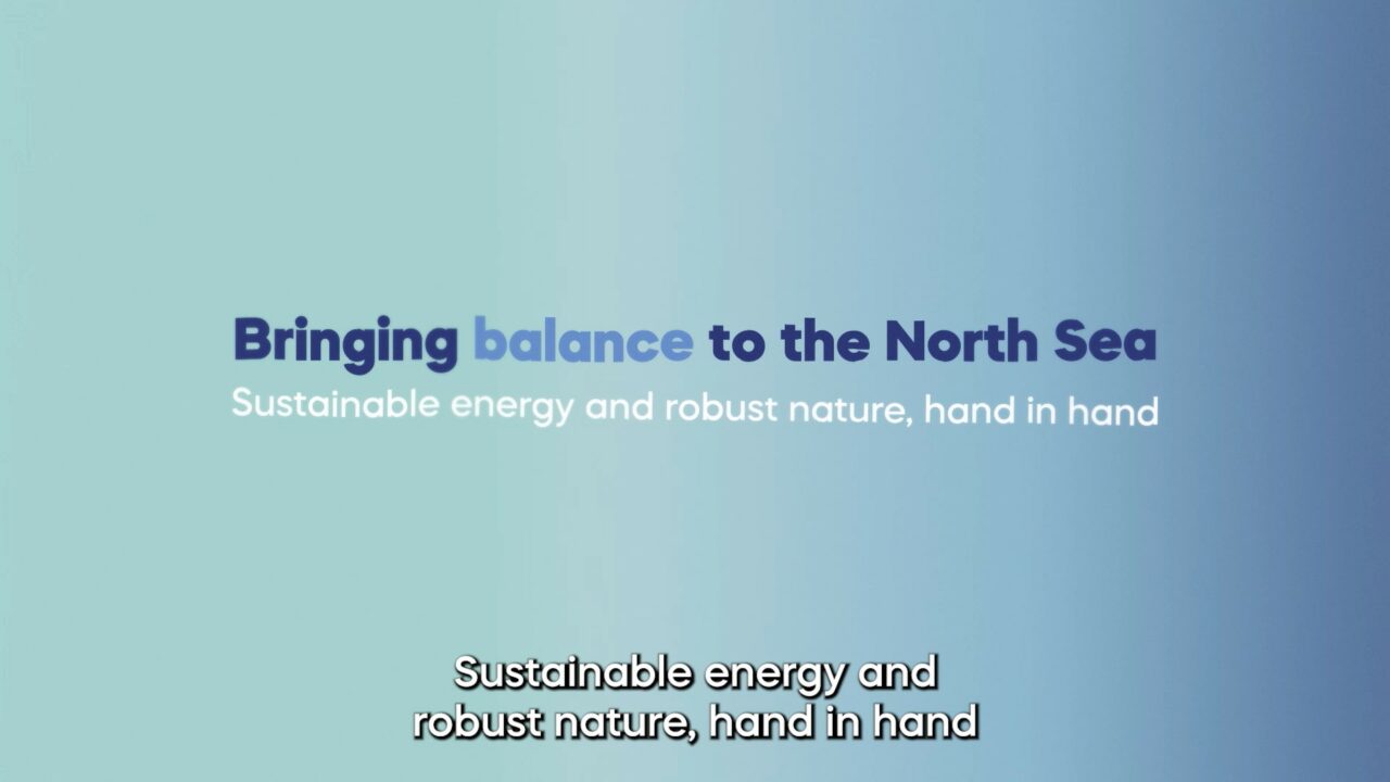 Regeneration North Sea