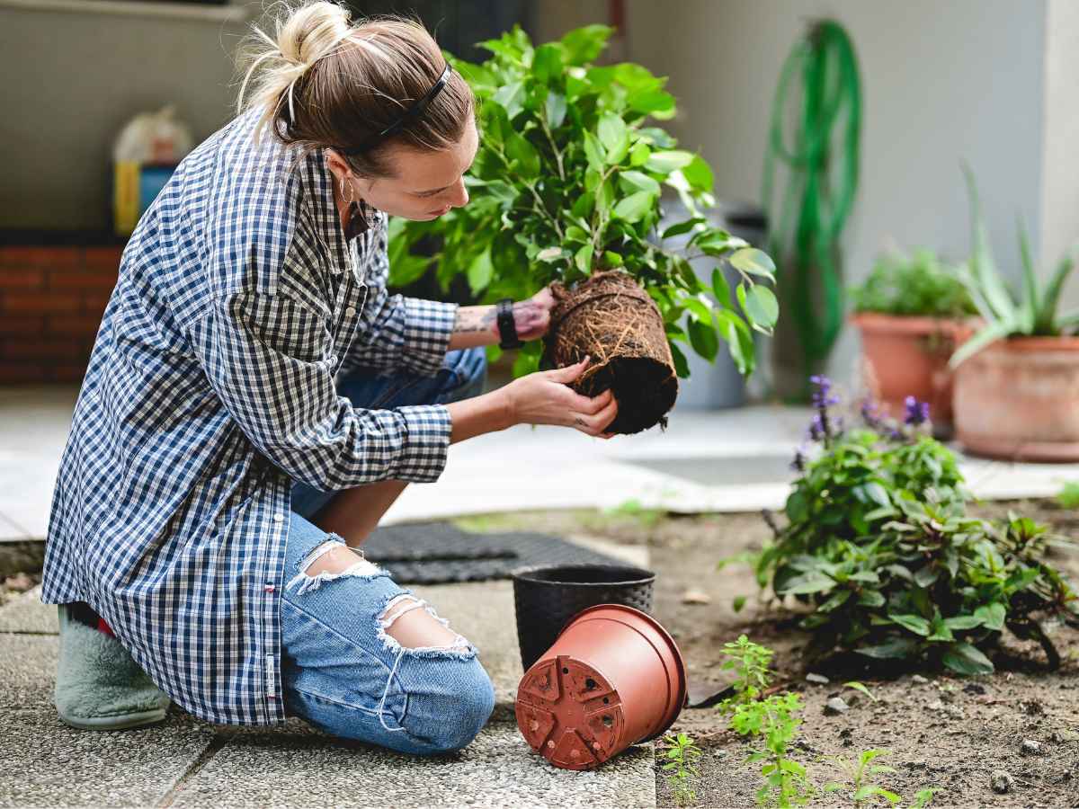 10 gouden regels voor een duurzame tuin | Natuur & Milieu