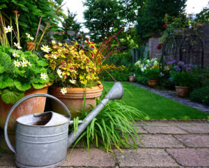 een groene tuin met planten en een paar tegels