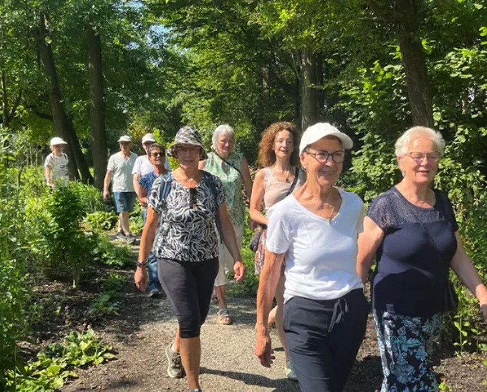 Een groepje ouderen vrouwen wandelt door het bos.