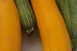 courgette
