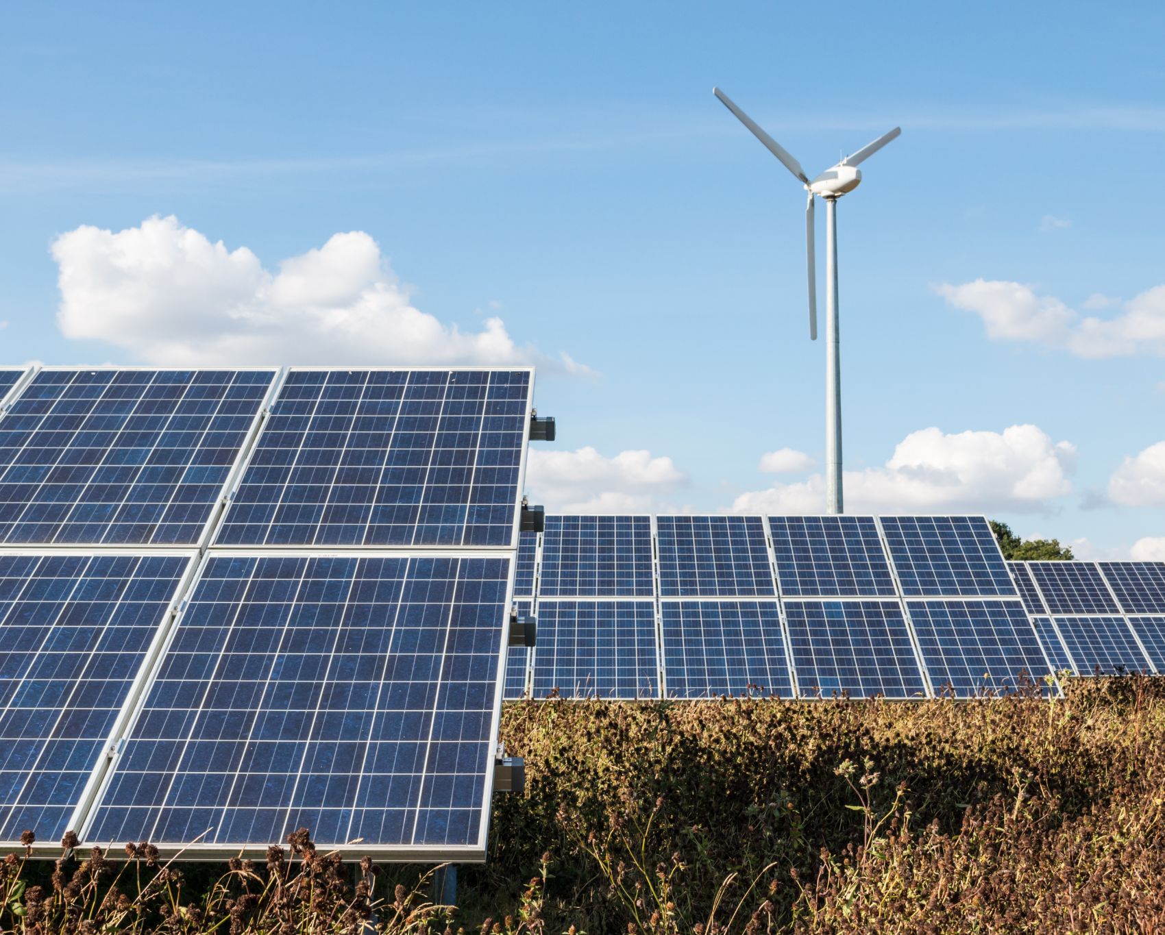 energietransitie-natuur-milieu