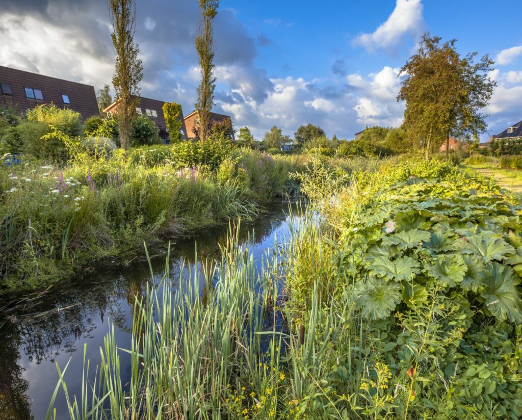 voorbeeld van een groene stad