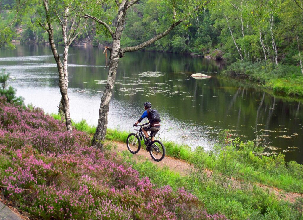 Fiets door heide- en waterlandschap