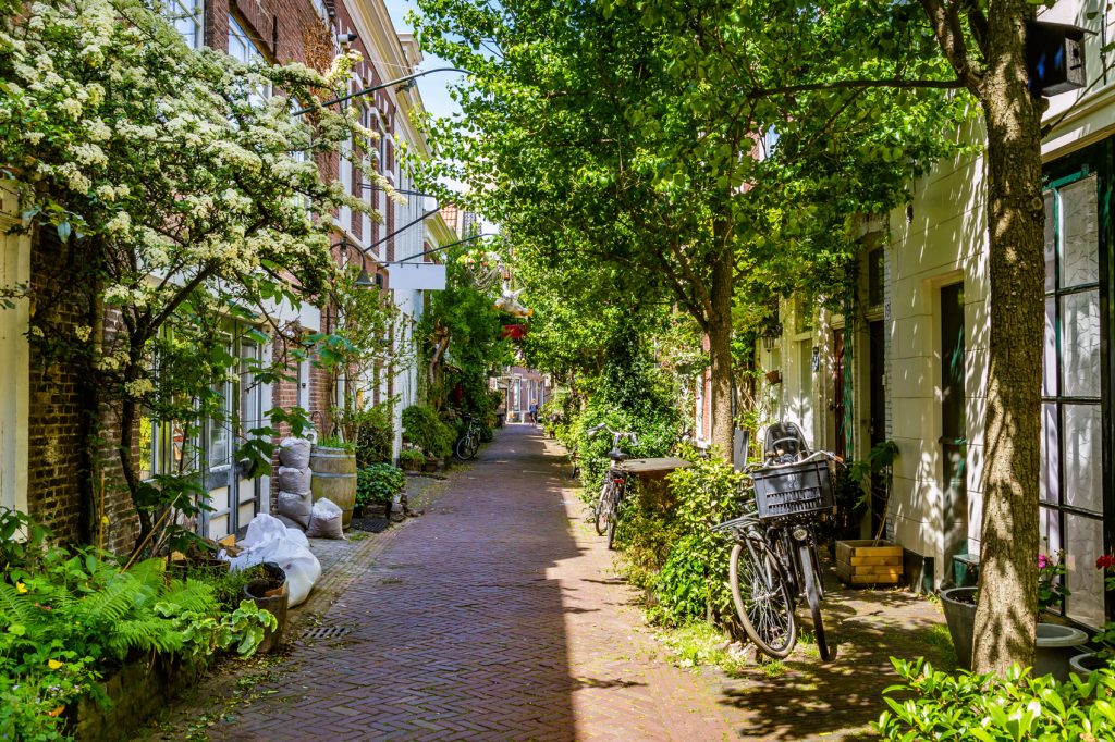 groene straat redactioneel