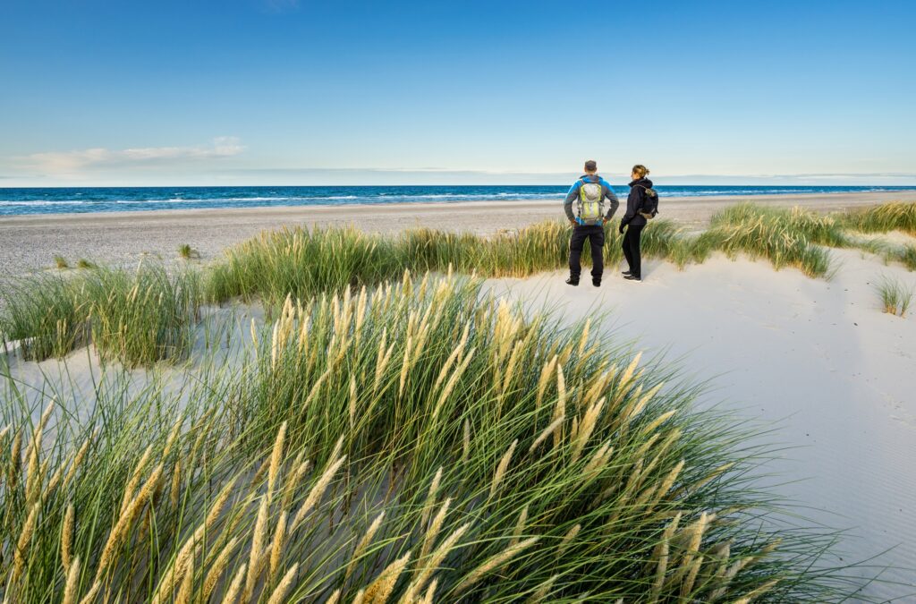 Mensen in de duinen aan zee