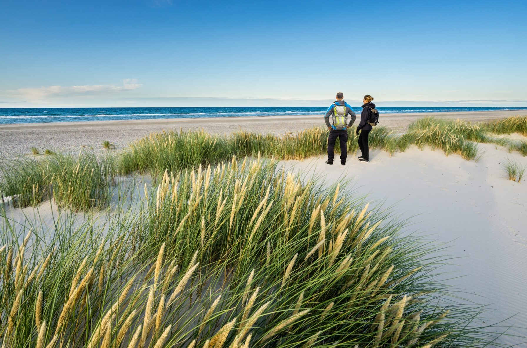 Mensen in de duinen aan zee