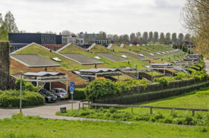 Rij nieuwbouwwoningen met groene daken en zonnepanelen in Nederlandse woonwijk