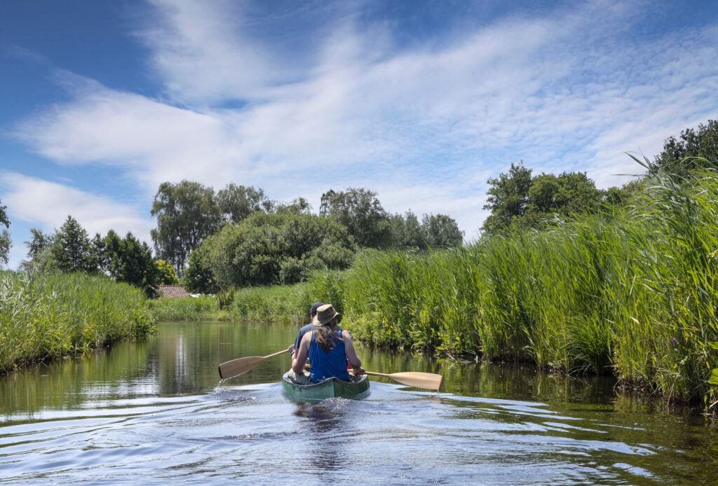 Zomers kanoën in Nationaal Park de Weerribben de Wieden bij Belt Schutsloot.