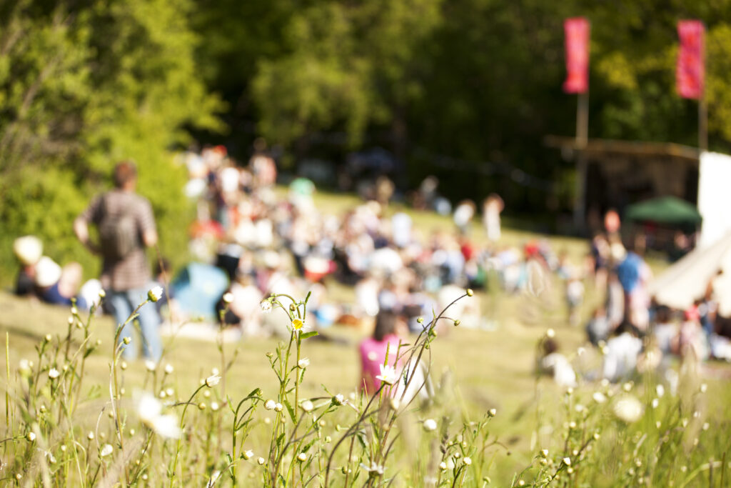 veld met mensen en bloemen