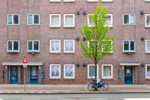 Straat met een boom