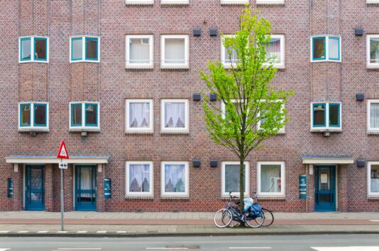 Straat met een boom