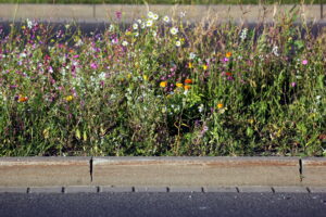 Boomspiegel met bloeiende planten