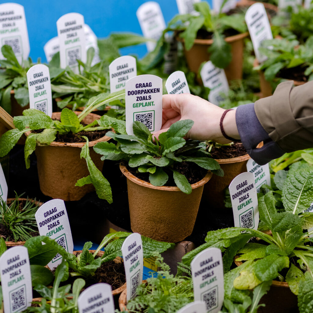 plantjes voor de actie 'graag doorpakken zoals geplant'