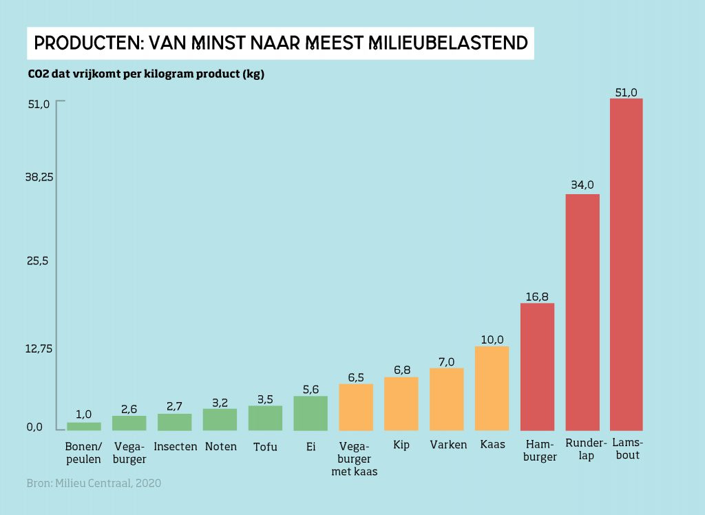 De Impact Van Een Plantaardig Voedingspatroon | Natuur & Milieu