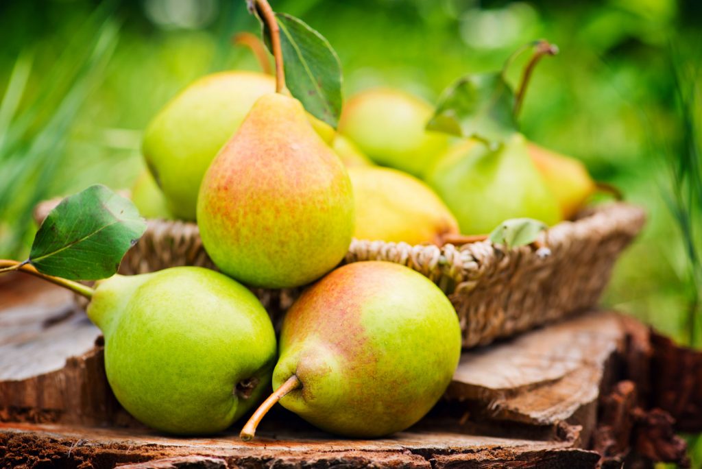 peren in schaal