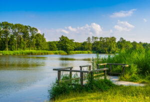water met vlondertje