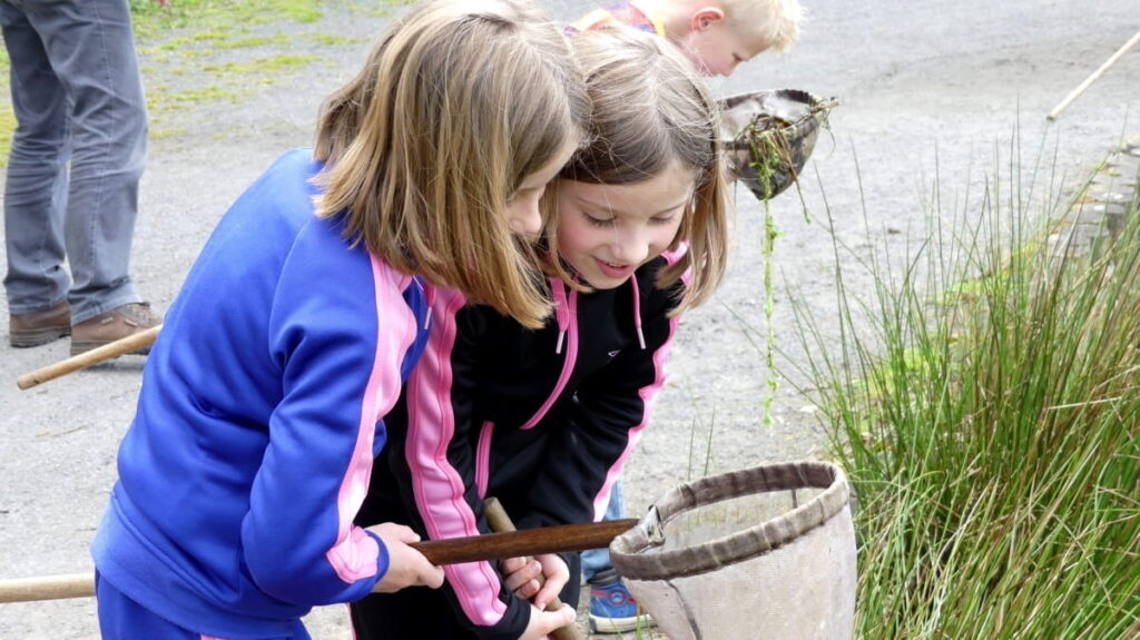 Twee meisjes kijken in een schepnetje