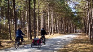 2 mensen fietsen door bosrijke omgeving